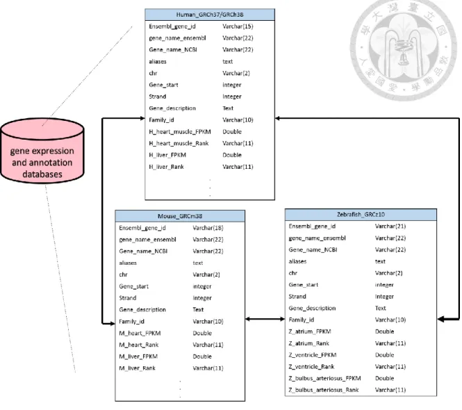 Figure  2.  The  database  schema  of  gene  expression  and  annotation  database. 