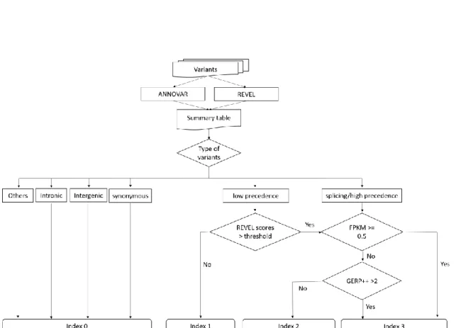 Figure 5. Workflow of Variants Search. Depend on the type of variant, REVEL score,  GERP++ score and heart tissue gene expression profiles, index system will give every  variant an index