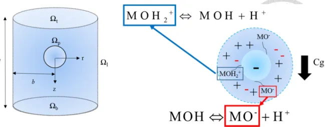 Figure 1-1. Sedimentation of a rigid, pH-regulated sphere of radius R p  and surface  Ω p