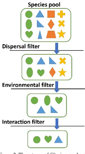 Figure 2. Three types of filtering mechanisms 