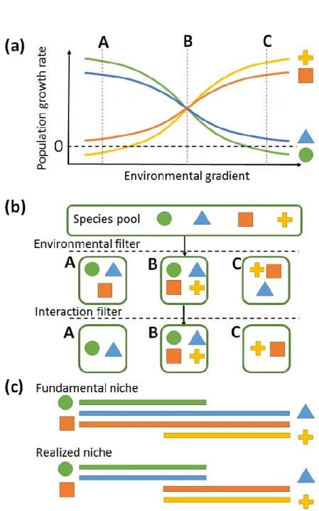 Figure 3. Filtering mechanisms, species composition and the niche concept 