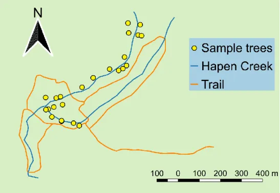 Figure 10. The locations of sampled trees