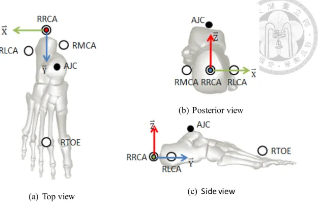 Figure 2-5    Illustrations of segmental coordinate system and the digitized landmarks  for the right foot in (a) top view, (b) posterior view, and (c) side view 