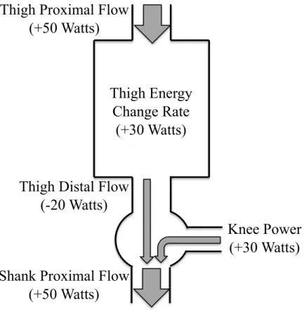 Figure 2-8    An example of a simplified energy flow diagram including the thigh and  the knee joint