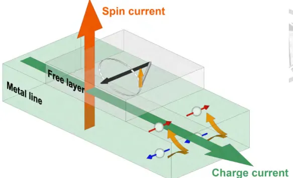 Figure 2.5: SHE generating SOT through a Spin Current [5]
