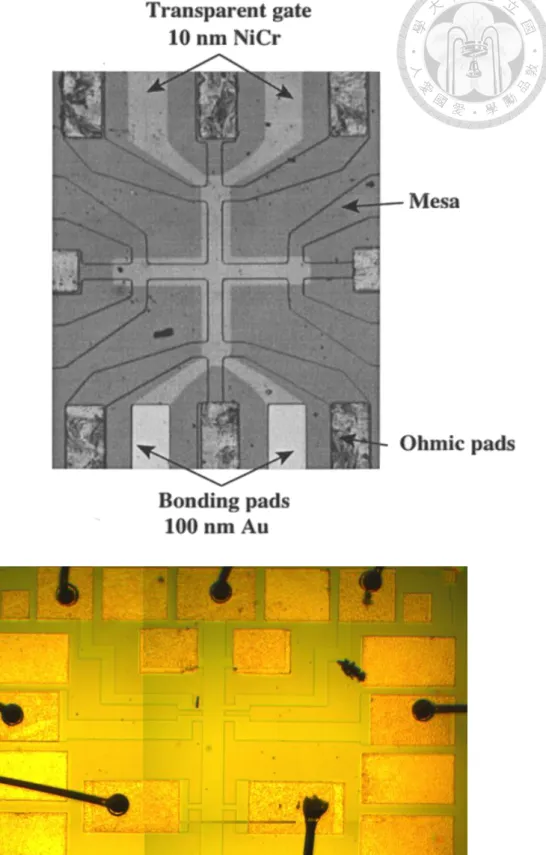 Fig. 3.2 An optical photograph (50 × magnification) of a completed Hall bar of GaAs with 