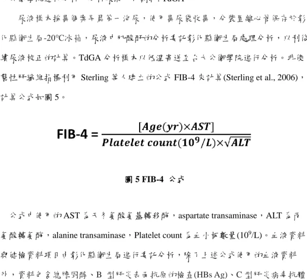 圖 5 FIB-4  公式 
