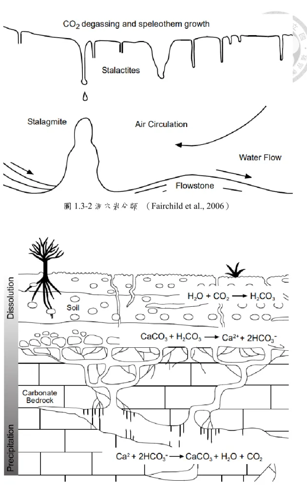 圖 1.3-2 洞穴岩分類  （Fairchild et al., 2006） 