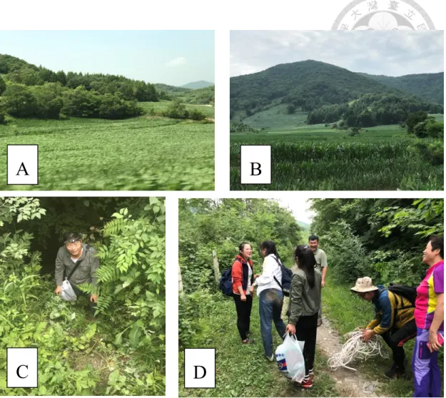 圖 2.1-3 A 和 B 圖為無名洞外現今植被發育狀況； 