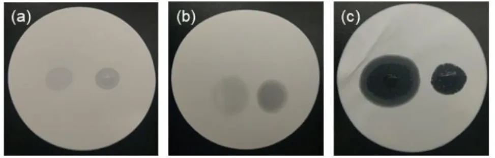 圖  4-6  將(左)水及(右)正辛醇滴在(a) PES 膜(b)nylon 膜以及(c)PTFE 膜上之照片 