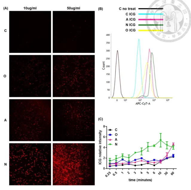 Figure  4.The  ICG  intake  ability  comparison  of  ASBT,  NTCP,  and  OATP1B3  in  HT-1080