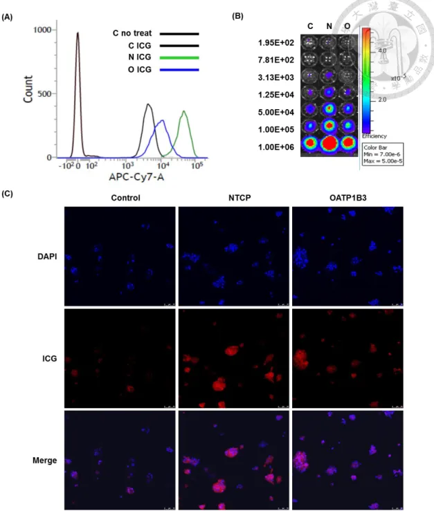 Figure  6.  The  ICG  intake  and  retain  ability  comparison  of  NTCP  and  OATP1B3  in  HT-29