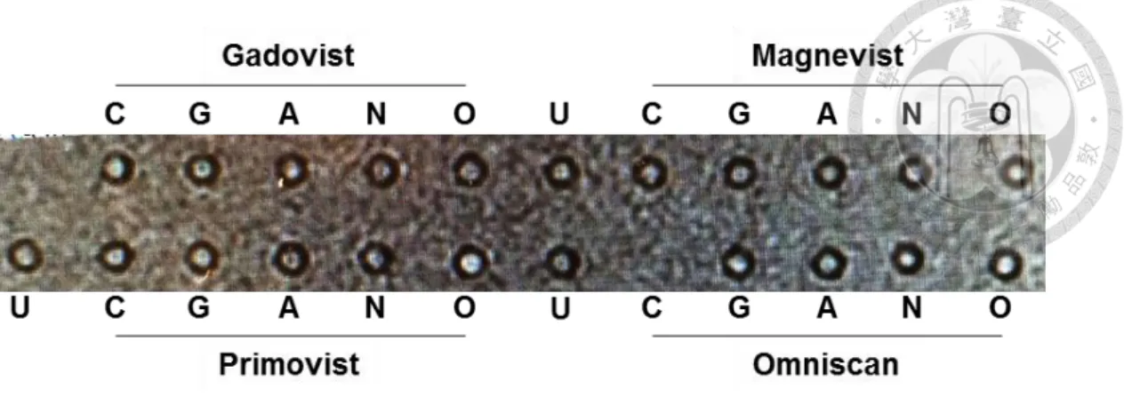 Figure  8.  The  specificity  of  Gd  containing  MR  contrasts  among  ASBT,  NTCP,  and  OATP1B3  in  HT-1080  using  T1-weighted  MRI