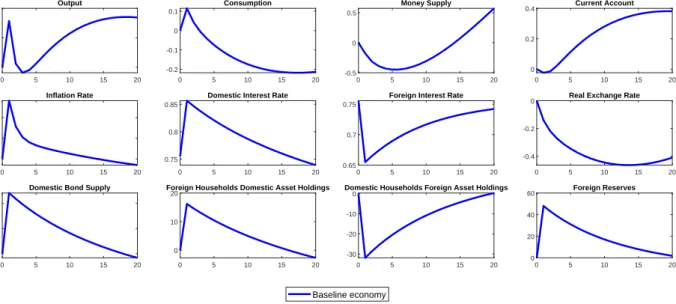 Figure 1: Impulse Responses to a Negative Foreign Interest Rate Shock
