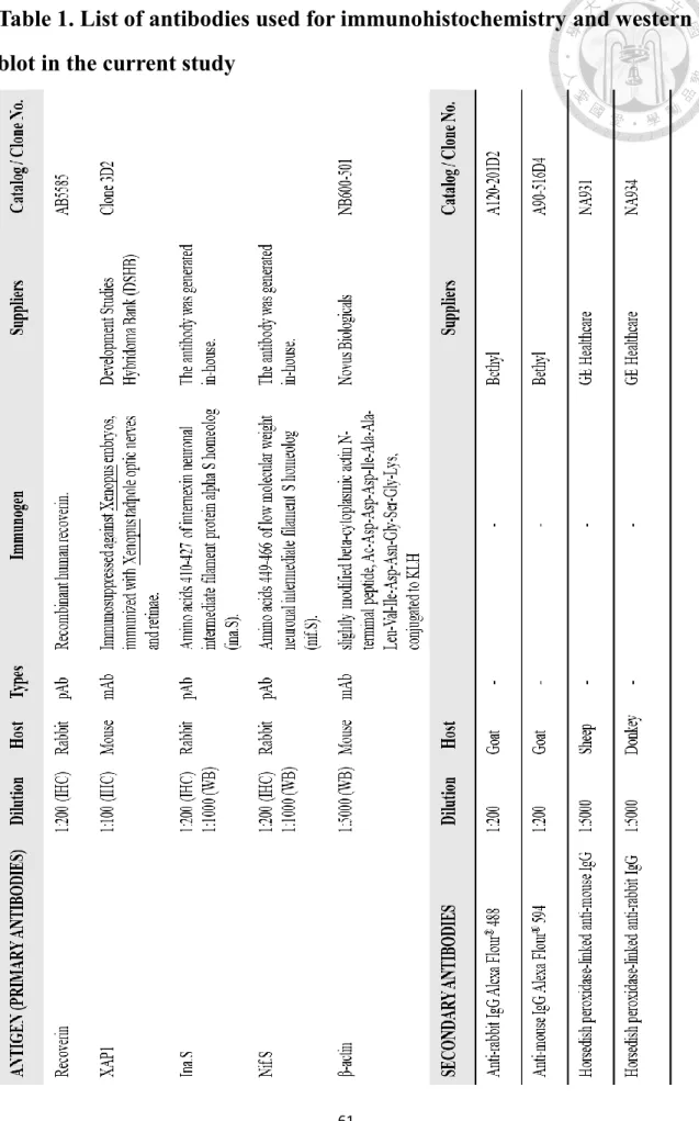 Table 1. List of antibodies used for immunohistochemistry and western  blot in the current study 