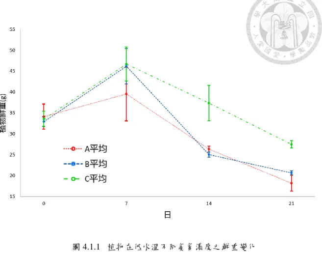 圖 4.1.1  植物在低水溫不同氨氮濃度之鮮重變化  註：A 為高濃度組(NH 3 -N=195ppm)之平均鮮重(n=3) 