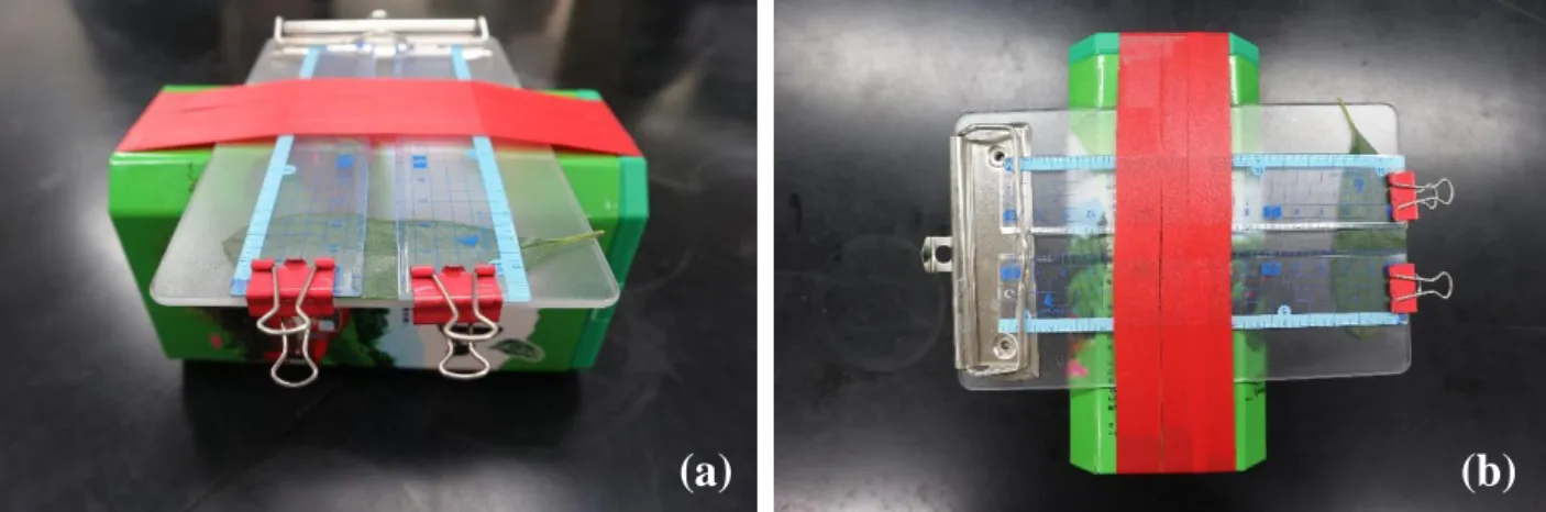 Figure 4: Platform for measuring droplet. (a) Front view (b) Top view 