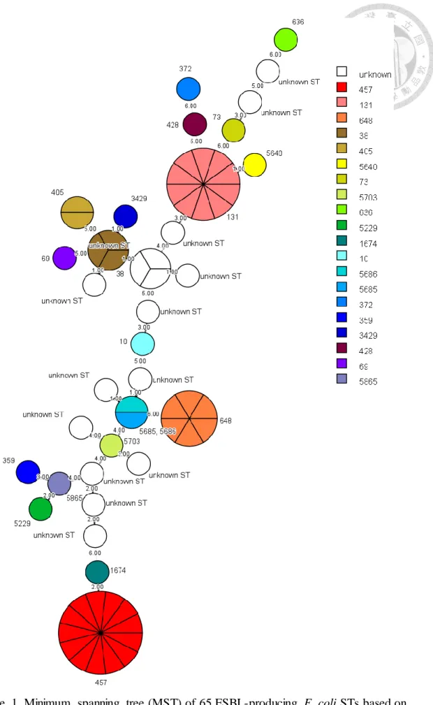 Figure  1. Minimum  spanning  tree (MST) of  65 ESBL-producing  E. coli STs based on  the  degree of  allele  sharing