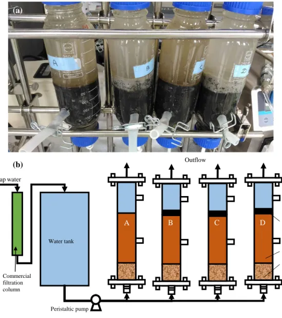 Figure  3-1.  (a)  photo  image;  (b)  scheme  diagram  of  vertical  up-flow  microcosms  construction