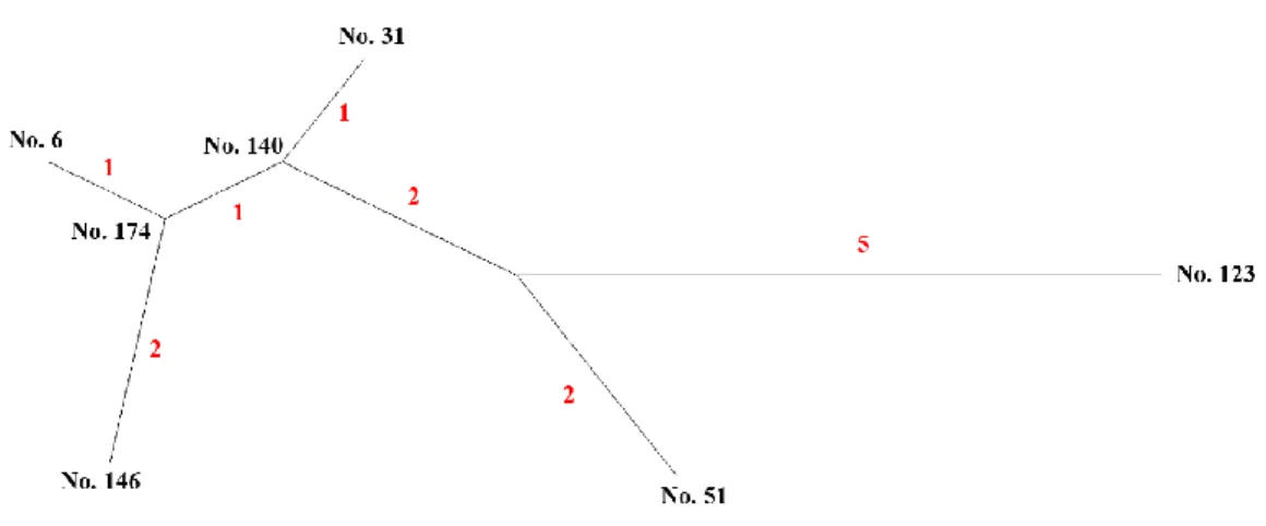 Figure 6. Neighbor joining tree of Cluster A.   