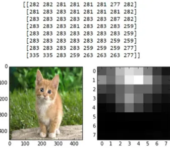Figure 2.5: Results of feedforwarding an image through the fully convolutional version of AlexNet [5].