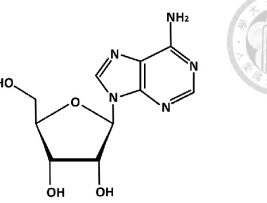 Figure 1. Chemical structure of adenosine 
