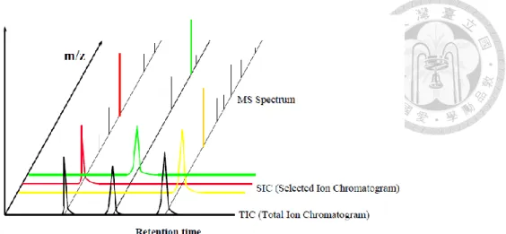 Figure 8    GC-MS retention time、m/z and abundance  (Source: ThermoFisher manual) 