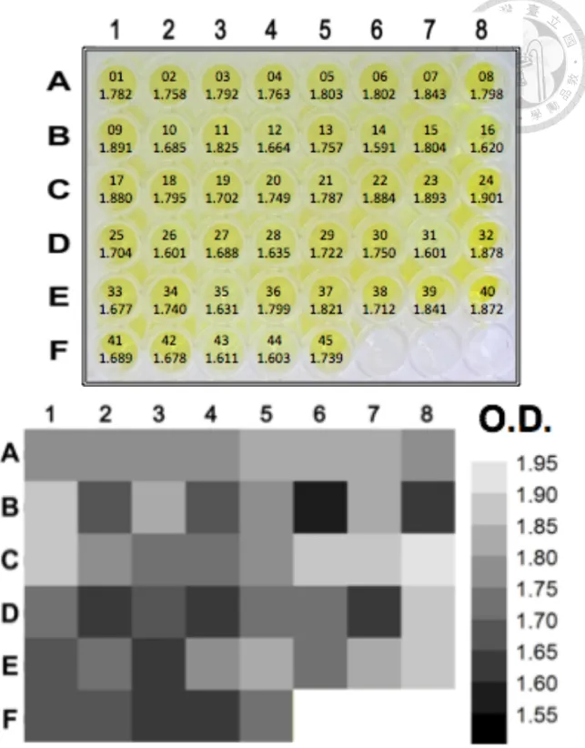Figure 3.5 Result of in vitro affinity-based selection (IV): ELONA binding signals  of the 45 hairpin dODNs (at 3000 nM) against the phosphorylated STAT3 protein