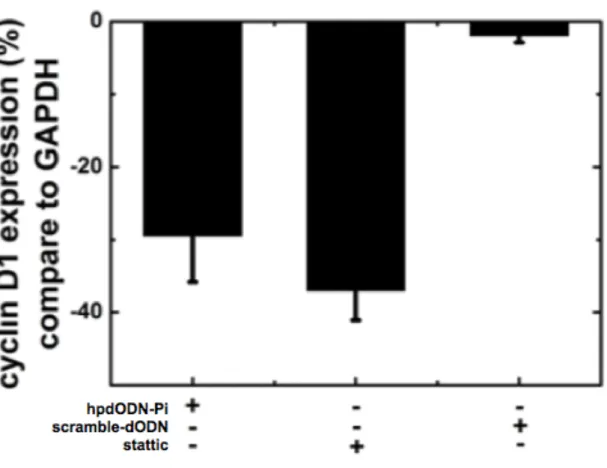 Figure 3.9 The verification of the gene regulation of hpdODN-Pi and the non-function  of the scramble-dODN