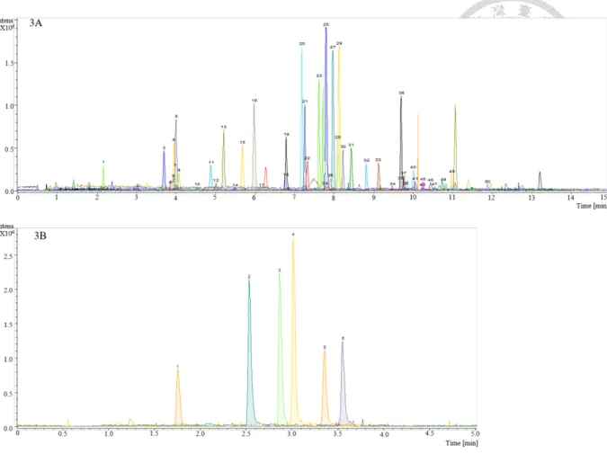 Figure 2.6.3  Extraction ion chromatograms of DBS samples obtained under optimized  conditions in A) positive and B) negative ionization mode
