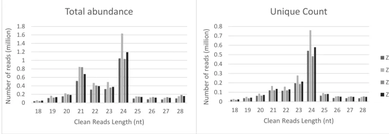 Figure 2 | Size distribution of clean reads in Sinningia speciosa sRNA-Seq  (A) The size distribution of the clean reads calculated by the total abundance reads