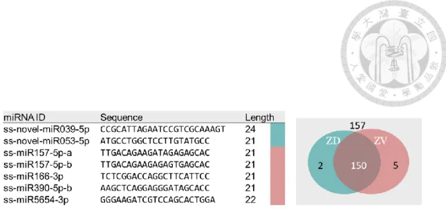 Figure 5 | The precursor of 7 DE-miRNAs can form stable stem-loop structure. 