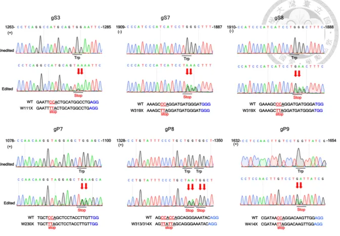 Figure 6. Sanger sequencing of base-edited sites in the polymerase and surface genes of 