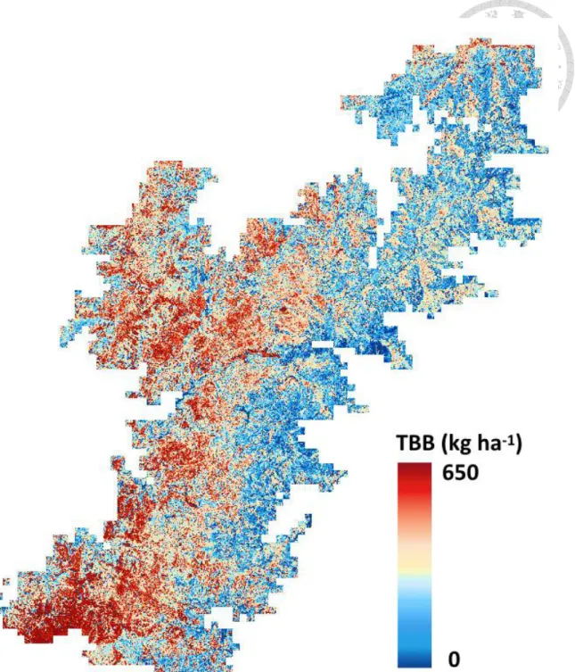 Figure 8 Predicted biomass of epiphytic bryophytes map on the Chilan Mountain. We  estimated that the mean (  sd) EB biomass density was 161.3   83.2 kg ha -1 , and total EB  biomass of the TMCF of Chilan Mountain is 2808.6 Mg by first four components in P