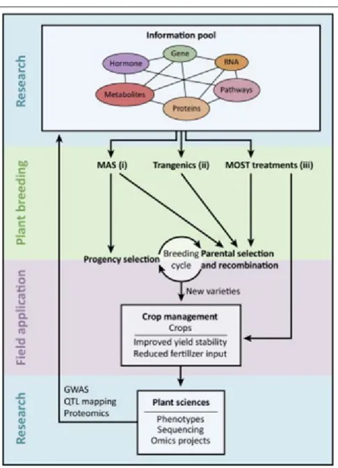 Figure 1. Three ways to utilize detailed molecular  genetic information for crop improvement