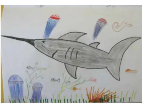 圖 5  一年級學生筆下逼真細膩的魚。 