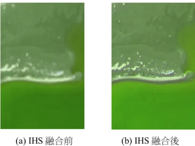 圖 3 為 IHS 融合前後外傘頂洲衛星影像。比 較圖 3 融合前後的左圖及右圖影像可知，右圖比左 圖能較清晰地顯示出地貌之輪廓。若再取 IHS 融 合前後，各波段亮度值的斷面分布來說明，IHS 融 合前後的亮度值差異，示如圖 4。由圖 4 中可知，  IHS 融合前後之各波段亮度值的分布特性相似。圖 3 及圖 4 的結果證實，融合後的多頻譜影像除保有 各波段之分布特性外，還可提高空間解析度。 