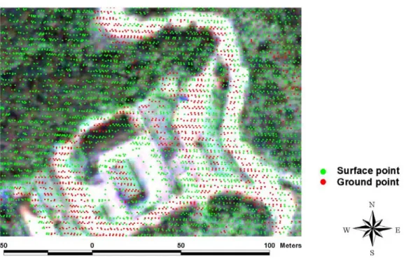 圖 3. QuickBird 衛星影像與 LIDAR 地面點(ground point)套疊圖 