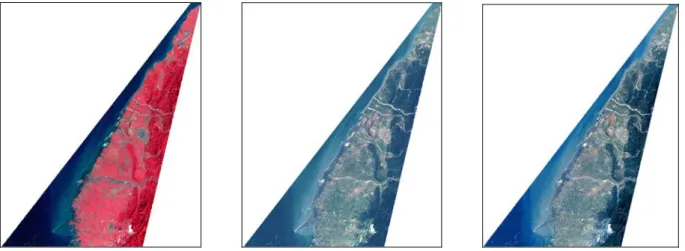 圖 1.第一階段的影像: (a) Landsat  假色影像(10/31/1995); (b)由(a)經網路轉換後的自然色影像; (c)  Landsat  自然色影像(10/31/1995)