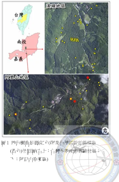 圖 1  地面樹高量測(紅色)與葉面積指數拍攝樣區 (黃色)位置圖(右上：台灣大學溪頭實驗林場；