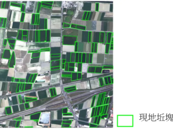 圖 2  現地調查成果數化結果 