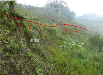 圖 8  此為圖 6(B)處於現地上呈現梅樹園坡面有一明顯高差，顯示崩崖於梅樹園發育的情形  7. 大規模崩塌之初步調查 成果  地調所自 2011 年起依據高解析度數值地形資 料，分年分區針對莫拉克災區進行潛在大規模崩塌 區域性之調查圈繪(圖 9)；初步以面積大於 10 公 頃、崩塌體積超過 10 萬立方米、深度在 10 米以上 者進行篩選。結果顯示在南部地區共有 52 處符合 潛在大規模崩塌區位之條件，其中對聚落有影響者 共計 13 處；中部地區共有 225 處符合潛在大規模 崩塌區位之條件，其中對聚落