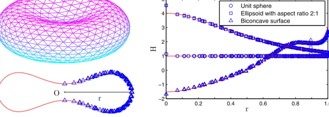 Fig. 3. Left: A triangulated biconcave surface and its cross-sectional view. Right: The comparison of mean curvature between numerical values (symbols) and exact values (solid lines) for three different surfaces
