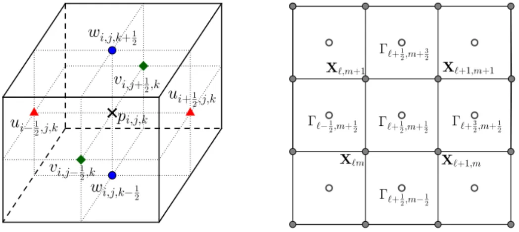 Figure 1: The left shows the locations of fluid velocities and pressure on a staggered grid in 3D