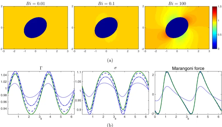 Fig. 10. (a) The concentration distribution of the bulk surfactant at equilibrium for Bi = 0.01, 0.1, and 100