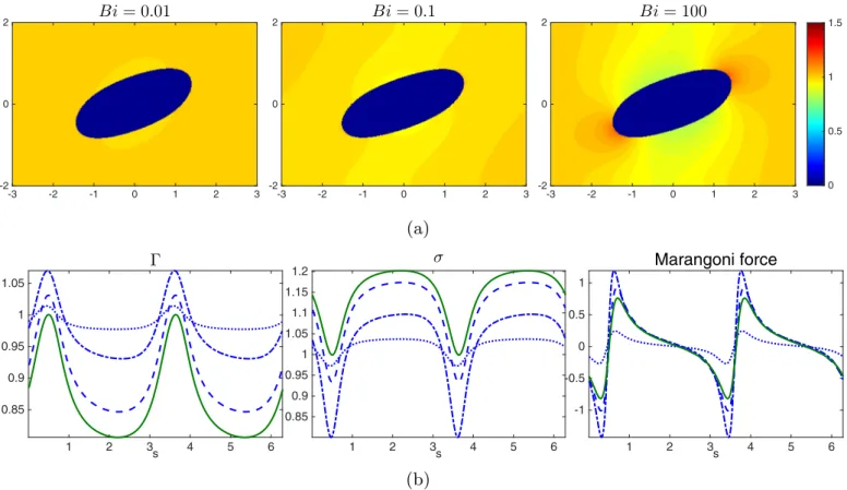 Fig. 12. (a) The concentration distribution of the bulk surfactant at equilibrium for Bi = 0.01, 0.1, and 100
