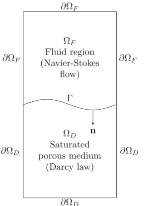 Fig. 1 Schematic representation of the coupled Navier-Stokes and Darcy system