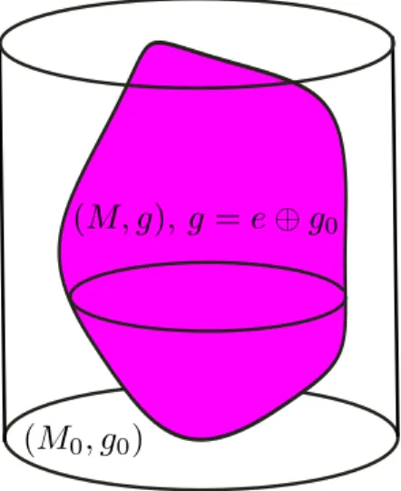 Figure 1. An example of a transversally anisotropic manifold (M, g).