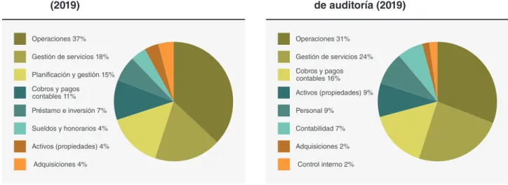 Figura 4  Distribución de los casos auditados  (2019)