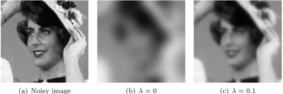 Figure 2.1: Heat equation with and without a force term